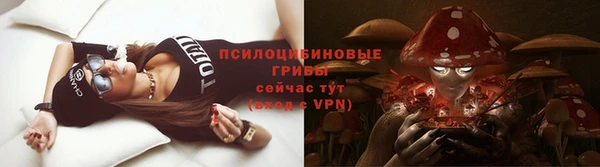 стаф Верхний Тагил