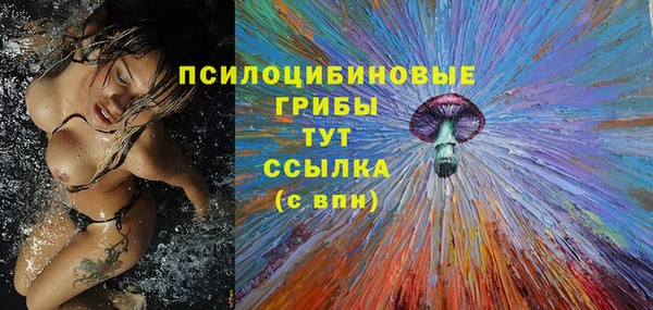 стаф Верхний Тагил