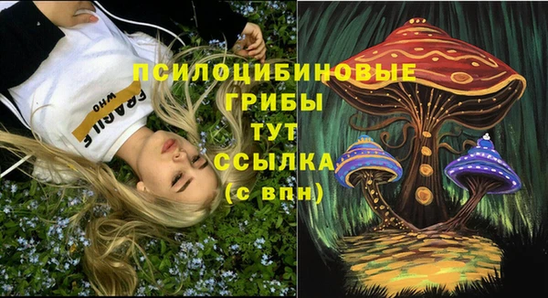 стаф Верхний Тагил