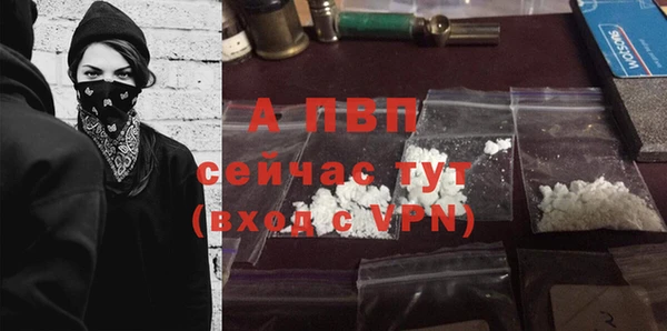 стаф Верхний Тагил
