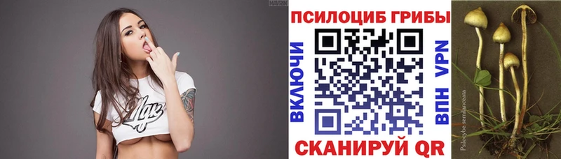 Купить  Георгиевск  Галлюциногенные грибы MAGIC MUSHROOMS 